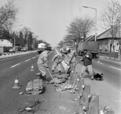 Magyarország, Budapest XVIII., a Ferihegyi repülőtérre vezető gyorsforgalmi út a Gyömrői út 154. számnál., 1977, Bojár Sándor, Budapest, Lada-márka, Robur-márka, ZIL-márka, láda, építkezés, Fortepan #194920