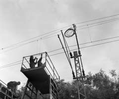 Hungary, Kismaros, a Vác-Szob vasútvonal villamosításán dolgozó felsővezeték-szerelők., 1971, Bojár Sándor, Fortepan #194937