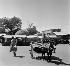 Üzbegisztán, Szamarkand, Bibi-Khanum mecset (Bibi-Xonim masjidi), Siyob / Siab Bazár (Siyob bozori)., 1969, Bojár Sándor, Szovjetunió, Fortepan #195030