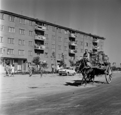 Üzbegisztán, Szamarkand, Mirzo Ulug'bek (Karla Marksza) út a Gagarin utca felé nézve., 1969, Bojár Sándor, Szovjetunió, Fortepan #195037