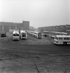 Magyarország, Budapest XVI., Margit utca, az IKARUS mátyásföldi gyártelepe., 1970, Bojár Sándor, Budapest, Ikarus 180, Ikarus 250, Fortepan #195181