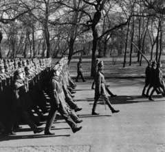 Magyarország, Népliget, Budapest X., április 4-i díszszemle főpróbája, háttérben a Vajda Péter úti transzformátorállomás., 1975, Bojár Sándor, Budapest, Fortepan #195195