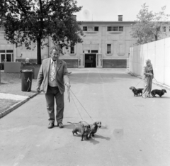 Magyarország, Budapest X., Albertirsai (Dobi István) úti vásárterület, kutyakiállítás., 1977, Bojár Sándor, kutya, Budapest, kutyakiállítás, kutyasétáltatás, Fortepan #195257