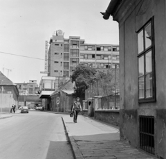 Magyarország, Óbuda, Budapest III., Fényes Adolf utca, a Tímár utcai kereszteződés után jobbra a Budaprint Pamutnyomóipari Vállalat épülete, távolabb a Goldberger Textilnyomógyár kapuja., 1973, Bojár Sándor, Budapest, Pamutnyomóipari Vállalat, Fortepan #195294