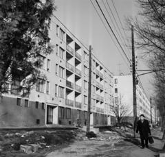 Magyarország, Budapest XXII., Nagytétényi út 234-236. számú ház., 1972, Bojár Sándor, Budapest, Fortepan #195307