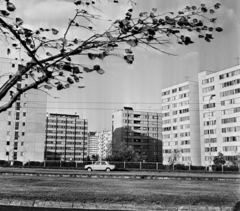 Magyarország, Budapest XIII., Árpád híd pesti hídfő, Róbert Károly körút, a panelházak mögött a Karikás Frigyes utca házai., 1975, Bojár Sándor, Budapest, Fortepan #195443