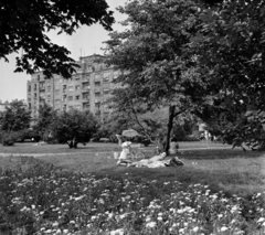 Magyarország, Budapest IX., a mai Nehru part, háttérben a Közraktár utca., 1975, Bojár Sándor, Budapest, Fortepan #195447