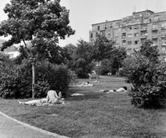 Magyarország, Budapest IX., a mai Nehru part, háttérben a Közraktár utca., 1975, Bojár Sándor, Budapest, Fortepan #195448