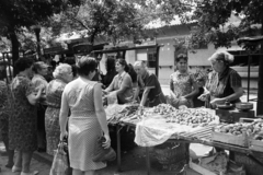 Magyarország, Debrecen, piac., 1970, Bojár Sándor, mérleg, piac, gyümölcs, Fortepan #195668