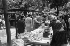 Magyarország, Debrecen, piac., 1970, Bojár Sándor, Fortepan #195669