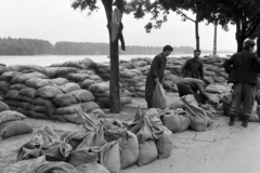 Magyarország, Szeged, Korányi fasor a Somogyi utcánál. A felvétel az 1970. tavaszi árvíz idején készült., 1970, Bojár Sándor, árvíz, homokzsák, Fortepan #195692