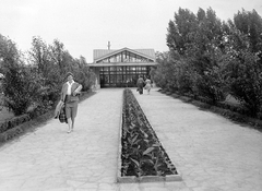 Magyarország, Kalocsa, háttérben az autóbusz-állomás., 1962, Gyöngyi, portré, divat, park, neonreklám, sporttáska, retikül, hölgy, kabát, kosztüm, helységnév tábla, blúz, autóbuszállomás, MÁVAUT-szervezet, Fortepan #1957