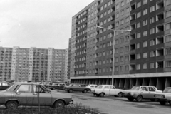 Magyarország, Budapest III., Békásmegyeri lakótelep, Hímző utca, háttérben a Gyűrű utca 1-15. számú ház., 1979, Bojár Sándor, Budapest, Fortepan #195720