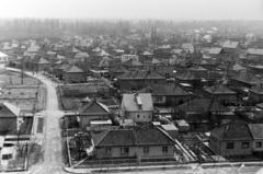 Magyarország, Budapest III., kilátás a Pünkösdfürdő utca 38. számú házból, balra az Ármány utca, alul keresztbe az Árpád utca., 1979, Bojár Sándor, Budapest, Fortepan #195733