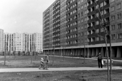 Magyarország, Budapest III., Békásmegyeri lakótelep, a Boglár utcai sávház hátsó frontja a Juhász Gyula utca felé nézve, távolabb a Gyűrű utcai panelház., 1979, Bojár Sándor, Budapest, Fortepan #195734