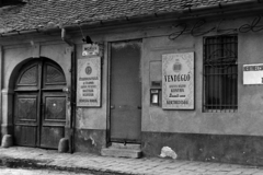 Magyarország, Óbuda, Budapest III., Mókus utca 22. Híd vendéglő (előtte, majd 1991 után ismét Kéhli vendéglő)., 1975, Bojár Sándor, Budapest, utcanévtábla, Fortepan #195736