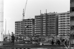 Magyarország, Budapest XI., a Menyecske utcai (később Őrmezei) Általános Iskola és a Kérő utca házsorának építkezése a Neszmélyi út felől nézve., 1975, Bojár Sándor, Budapest, Fortepan #195741