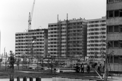 Magyarország, Budapest XI., a Menyecske utcai (később Őrmezei) Általános Iskola és a Kérő utca házsorának építkezése a Neszmélyi út felől nézve., 1975, Bojár Sándor, Budapest, Fortepan #195743