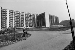 Magyarország, Budapest VIII., Losonci tér az Illés utca felé nézve., 1978, Bojár Sándor, Budapest, Fortepan #195802