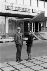 Hungary, Székesfehérvár, Hotel Alba Regia., 1974, Bogyó Virág, Fortepan #196042