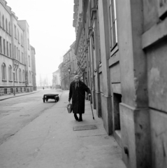 Magyarország, budai Vár, Budapest I., az Országház utca a Dárda utcától a Szentháromság tér felé nézve., 1967, Zofia Rydet, nő, kézikocsi, Budapest, Fortepan #196148