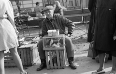 Slovakia, Žilina, 1972, Zofia Rydet, market, smile, bird, parrot, poultry, beret, seller, pen, Fortepan #196246