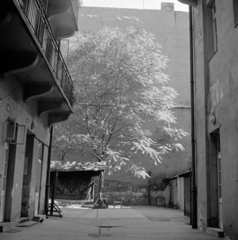 Magyarország, Budapest V., a Hold (Rosenberg házaspár) utca 5. számú ház udvara., 1974, Zofia Rydet, udvar, körfolyosó, poroló, Budapest, gang, Fortepan #196251