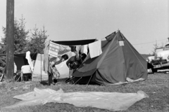 Romania,Transylvania, Budureasa, Biharfüred üdülőtelep., 1971, Szűcs Lóránd, Fortepan #196542