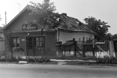 1972, Szűcs Lóránd, Fortepan #196594