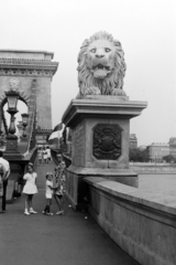 Magyarország, Budapest I., Széchenyi Lánchíd, budai hídfő., 1973, Szűcs Lóránd, Budapest, oroszlán, Fortepan #196613