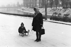 1973, Szűcs Lóránd, szánkó, Fortepan #196630