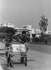 Románia, Mangalia, Cap Aurora üdülőfalu a Strada Gala Galaction mellett, háttérben a Hotel Cristal és a Hotel Topaz., 1975, Szűcs Lóránd, kerékpár, Fortepan #196654