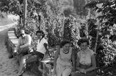 Hungary,Lake Balaton, Badacsonytomaj, Kisfaludy Sándor utca., 1955, Martin Kornél, vine, curiosity, summer, relaxation, sitting on a wall, Fortepan #196825