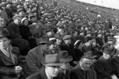 Magyarország, Népstadion, Budapest XIV., 1954, Martin Kornél, Budapest, nézőtér, szurkoló, Fortepan #196877