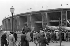 Magyarország, Népstadion, Budapest XIV., Magyarország - Anglia (7:1) válogatott labdarúgó-mérkőzés 1954. május 23-án., 1954, Martin Kornél, Budapest, háttal, közönség, stadion, Fortepan #196897