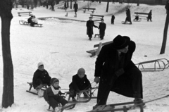 Magyarország, Budapest XI., Károli Gáspár tér, játszótér., 1954, Martin Kornél, hó, szánkó, gyerekek, férfi, pad, gyerek, Budapest, Fortepan #196933