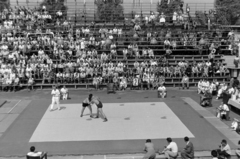 Magyarország, Margitsziget, Budapest, birkózó mérkőzés a Dózsa teniszstadionban., 1959, Martin Kornél, küzdelem, közönség, birkózás, Fortepan #196956