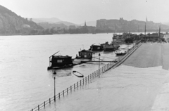 Magyarország, Budapest V., látkép árvíz idején a Szabadság hídról a budai Vár felé., 1954, Keveházi János, árvíz, Budapest, Fortepan #197078