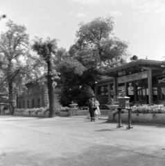 Magyarország, Margitsziget, Budapest, Casino., 1954, Keveházi János, fa, postaláda, kaszinó, Fortepan #197090