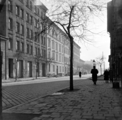 Magyarország, Budapest VIII., a Diószegi Sámuel utca a Dugonics utcától a Korányi Sándor utca felé nézve., 1954, Keveházi János, Budapest, utcakép, Fortepan #197103