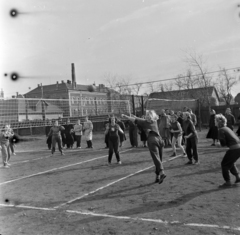 Magyarország, Budapest X., Maglódi út 4. sportpálya, háttérben balra a Gitár utca 29. számú ház., 1955, Keveházi János, Budapest, nők, képarány: négyzetes, röplabda, Fortepan #197277