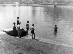 Magyarország, Városliget, Budapest XIV., Városligeti-tó., 1955, Keveházi János, Budapest, kíváncsiság, fiúk, félmeztelen, fürdés, tó, Fortepan #197309