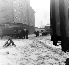 Magyarország, Budapest X., Maglódi út 6., Növényolaj és Szappangyár., 1955, Keveházi János, Budapest, képarány: négyzetes, hó, lovaskocsi, Fortepan #197347