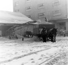 Magyarország, Budapest X., Maglódi út 6., Növényolaj és Szappangyár., 1955, Keveházi János, Budapest, képarány: négyzetes, hó, lovaskocsi, szállítószalag, Fortepan #197348