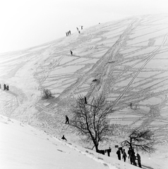 Magyarország, Nagykovácsi, a Szénások a Nagy-Szénás menedékház közelében, 1955, Keveházi János, Best of, képarány: négyzetes, havas táj, Fortepan #197352