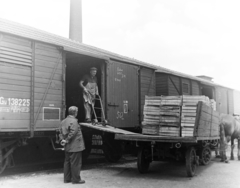 1957, Keveházi János, coach, Horse-drawn carriage, Fortepan #197450