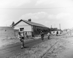 1957, Keveházi János, carrying, worker, working woman, cable, Fortepan #197500