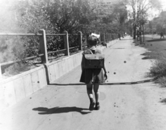 Hungary, Budapest VIII., a Vajda Péter utca a Golgota térnél, a fák takarásában a Delej utca sarkán álló ház látszik., 1957, Keveházi János, Budapest, girl, back, schoolbag, Fortepan #197514