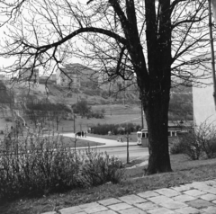 Magyarország, Tabán, Budapest I., kilátás a Dózsa György (Palota) tér felől az Attila út és a Kőműves lépcső felé., 1958, Keveházi János, Budapest, villamos, látkép, képarány: négyzetes, Fortepan #197668