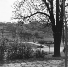 Magyarország, Tabán, Budapest I., kilátás a Dózsa György (Palota) tér felől az Attila út és a Kőműves lépcső felé., 1958, Keveházi János, Budapest, látkép, képarány: négyzetes, Fortepan #197676